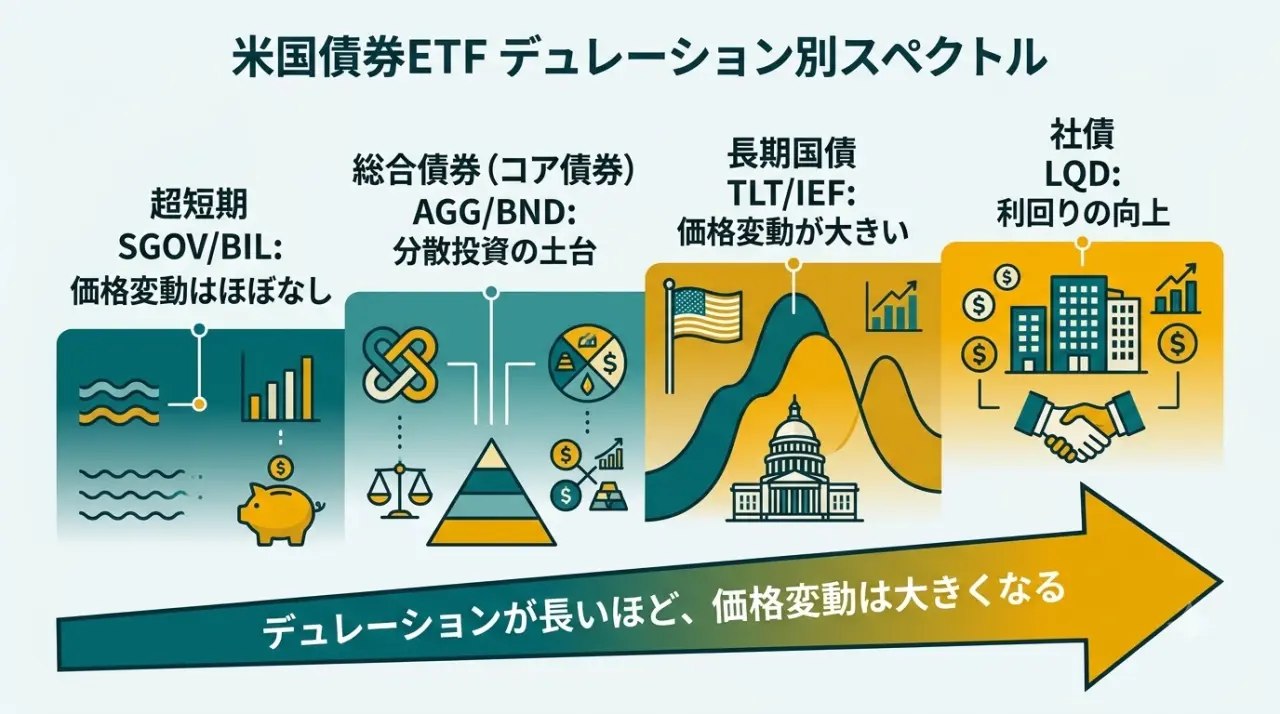 米国債券ETFの分類。超短期・総合・長期国債・社債で値動きと使いどころが違う